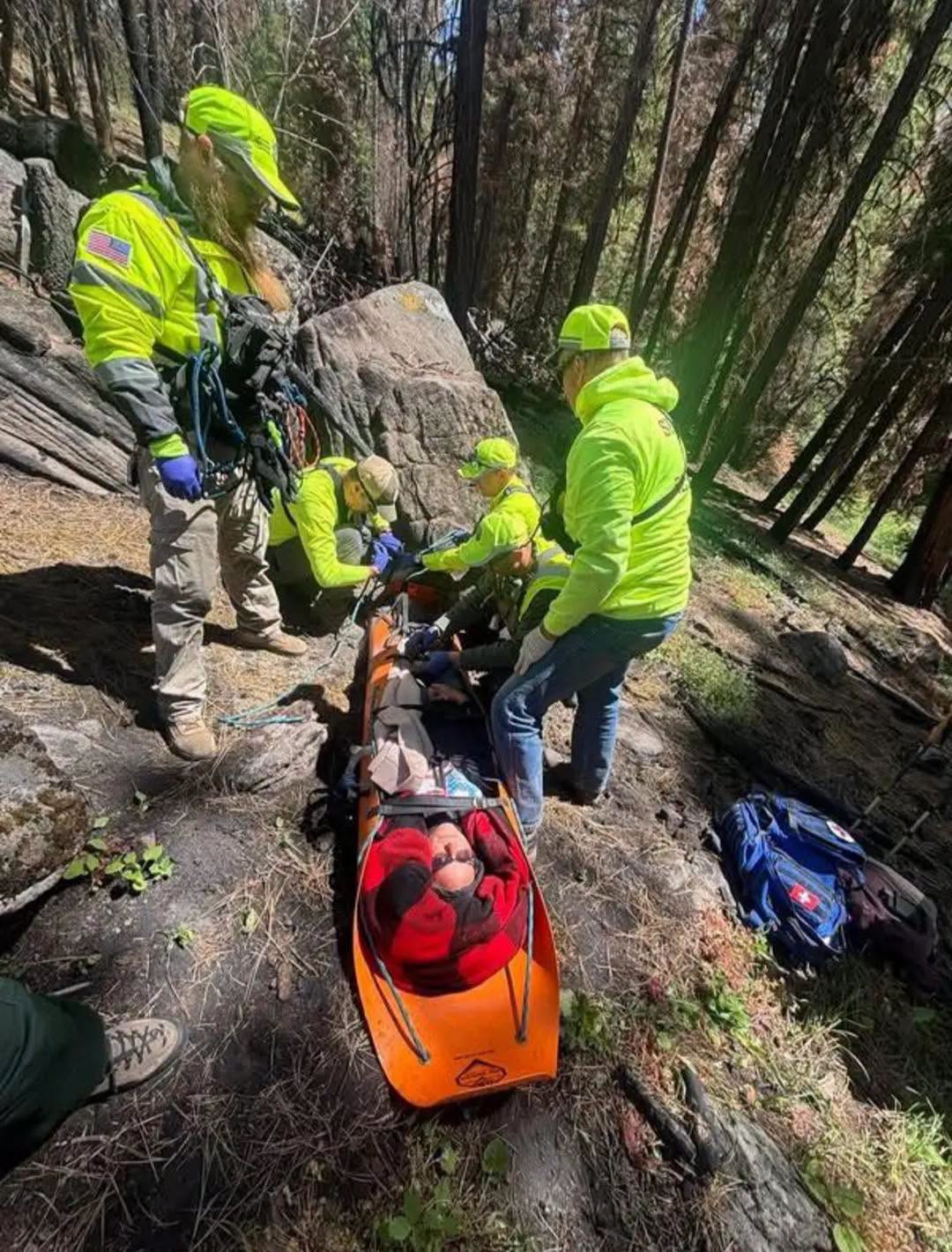 An image of SAR performing a forest rescue.